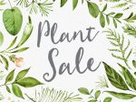 Plant Sale