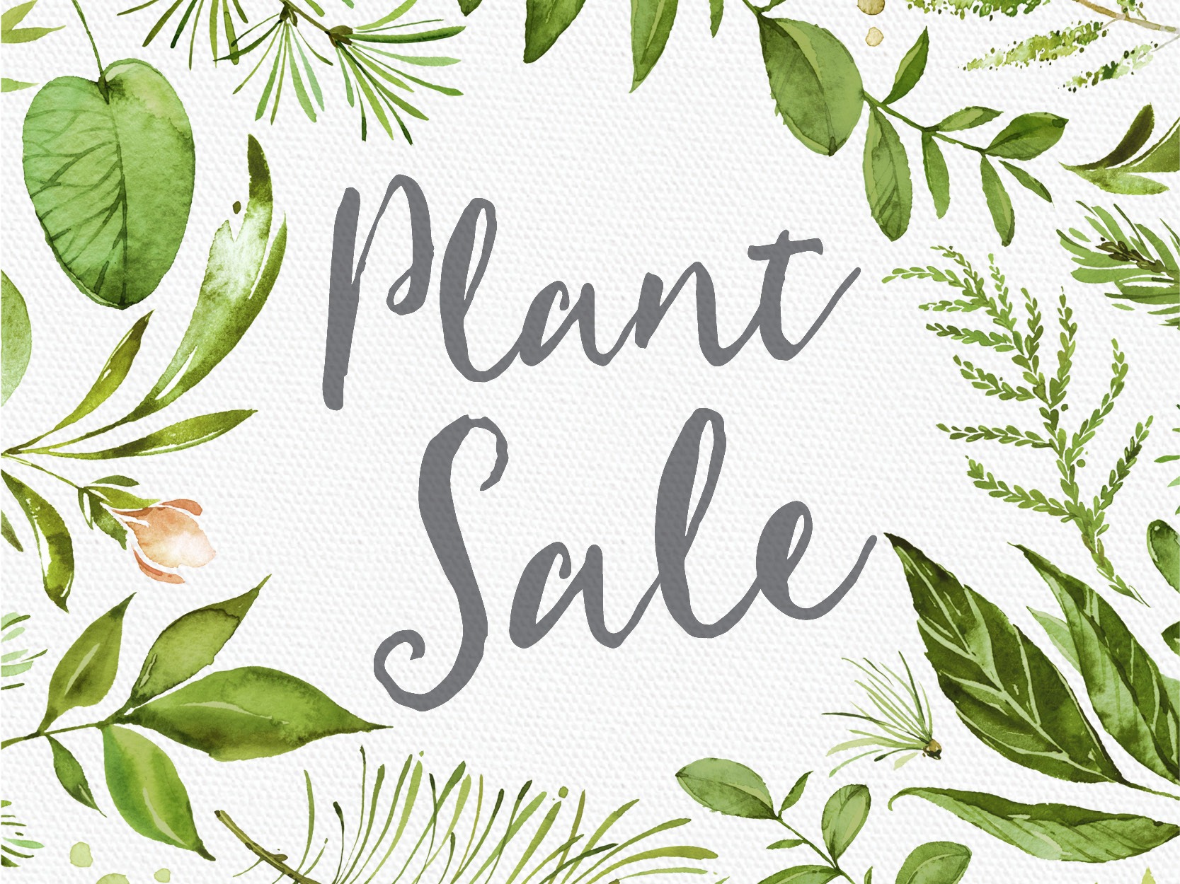 Plant Sale